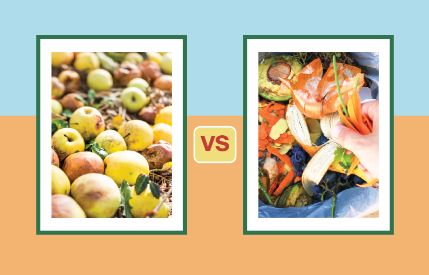 Food Loss Vs Food Waste food-loss-vs-food-waste