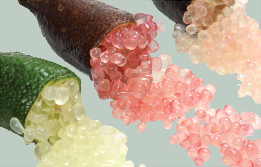 California Caviar Discovering Organic Caviar Limes